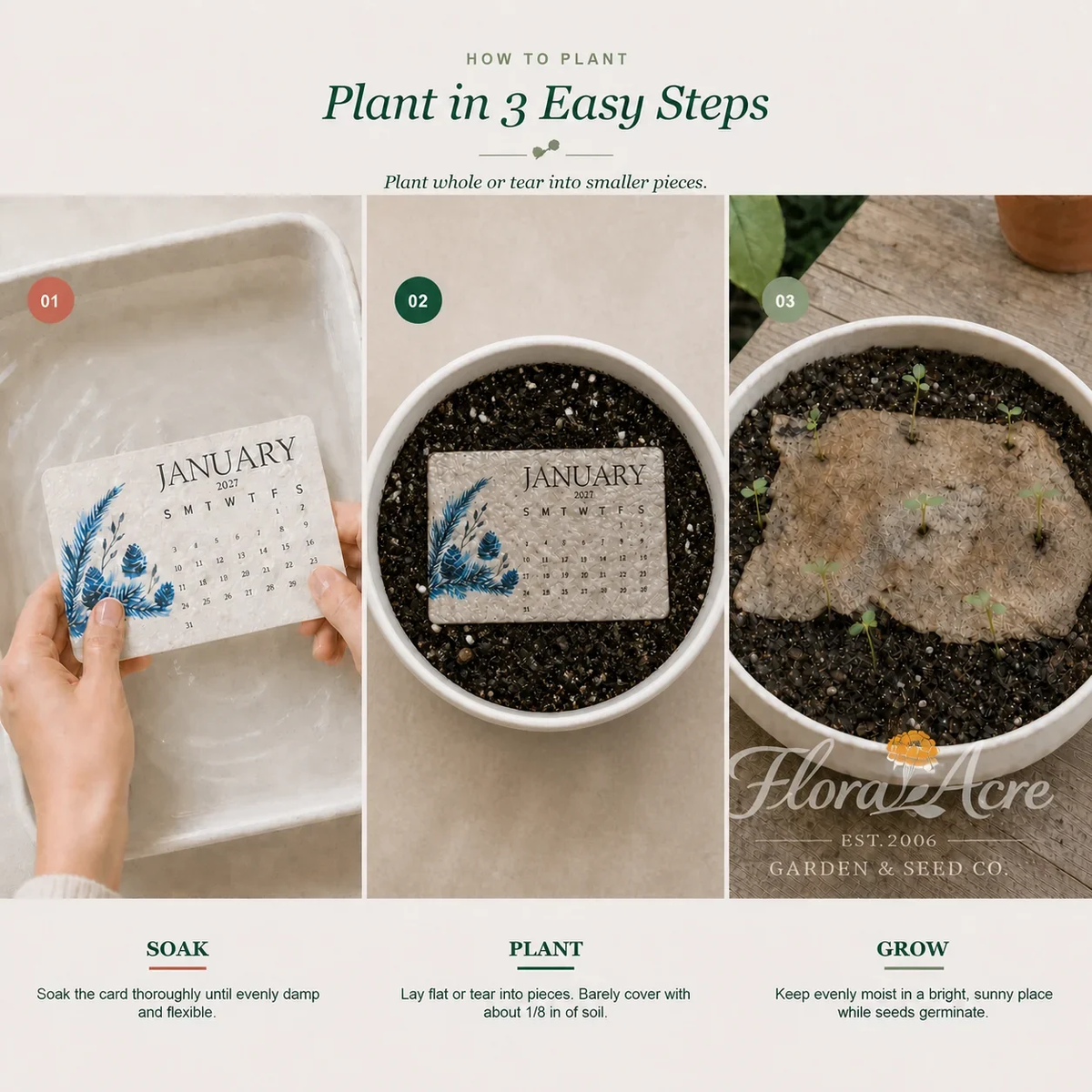 ✨Early Holiday Sale 80% OFF🌱🌹Eco-Friendly Plantable “Timeless” Seed Calendar 2027
