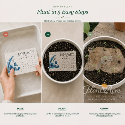 ✨Early Holiday Sale 80% OFF🌱🌹Eco-Friendly Plantable “Timeless” Seed Calendar 2027